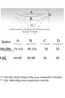5'li Büyük Beden İz Yapmayan Seamless Basic Külot Yüksek Bel Toparlayıcı Kadın Bato İç Çamaşır