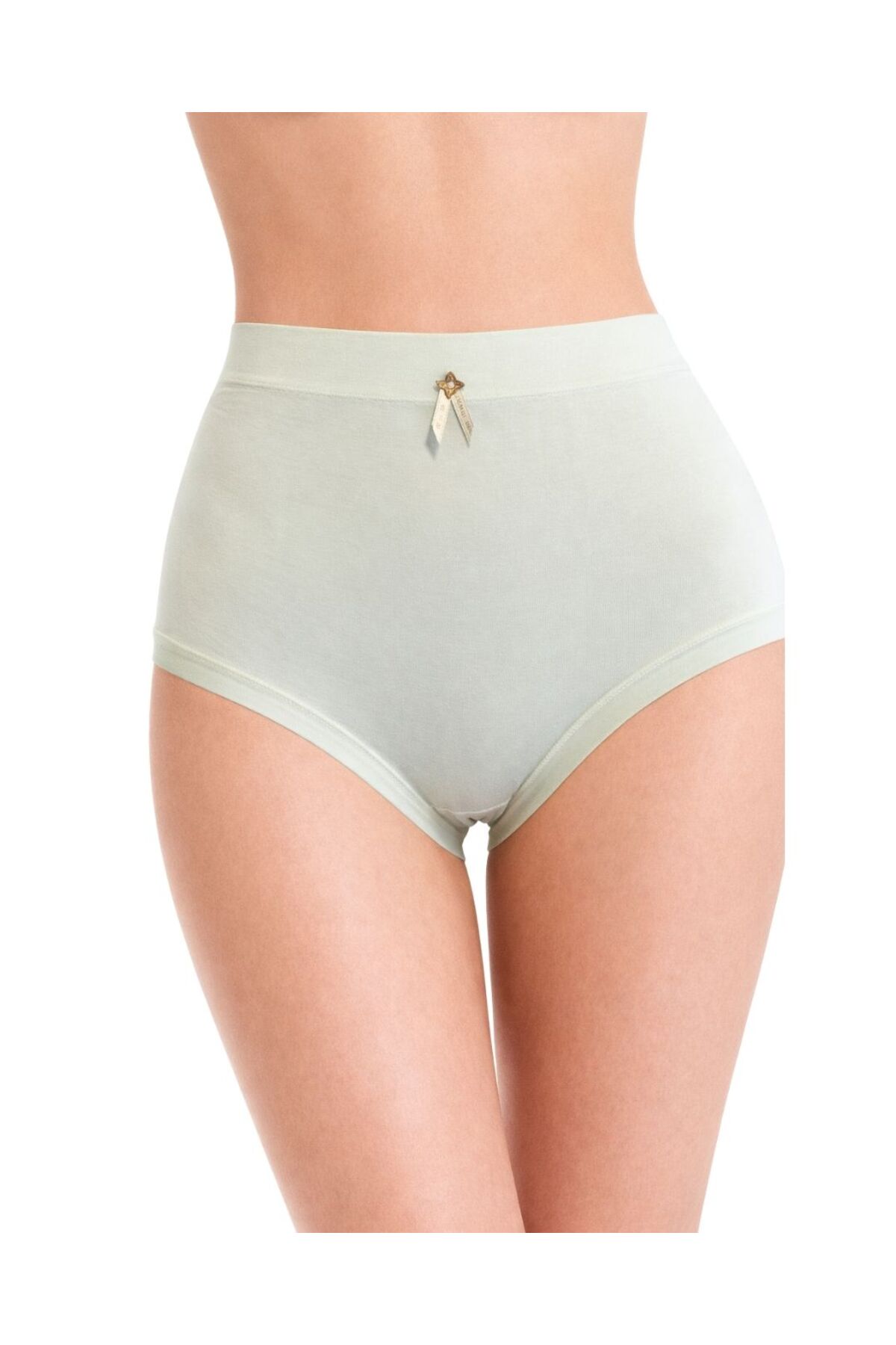 Yüksek Bel Bambu Dokulu Kadın Külot 5’li Set %95 Selüloz L/XL-2034